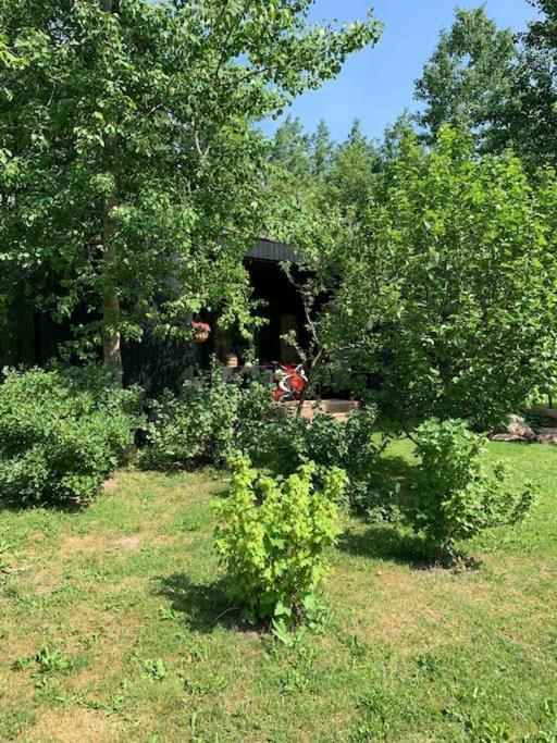 Small Cozy 3-Room House With Terrace & Large Garden Ilmandu Exterior foto